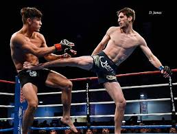MMA 7