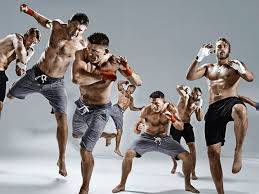 MMA 8
