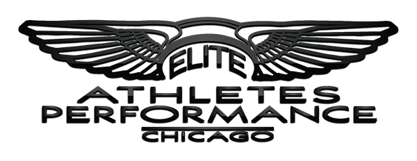 Contact's logo